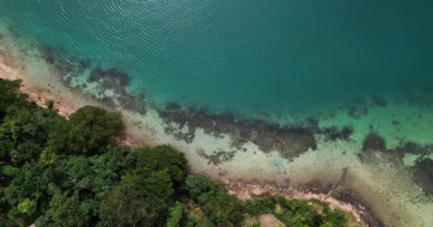 Aumento del nivel del mar pone en riesgo a millones más
