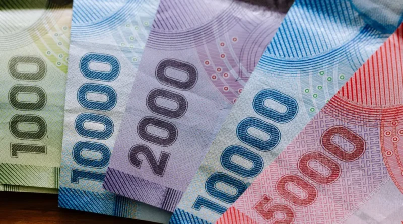 Bono Invierno 2026: verifica tu RUT y recibe $81,257 en mayo
