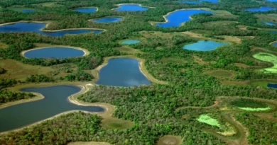 Brasil amplía áreas protegidas en el Pantanal para conservar biodiversidad