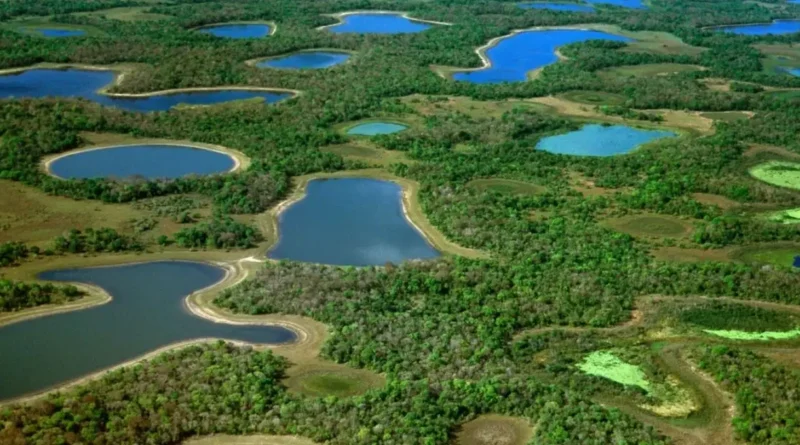 Brasil amplía áreas protegidas en el Pantanal para conservar biodiversidad