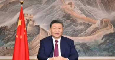 China acapara 48 activos mineros en Latinoamérica; Argentina a la cabeza