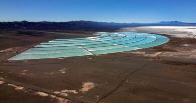 China consume 40% del cobre refinado y Argentina se alza como socio estratégico