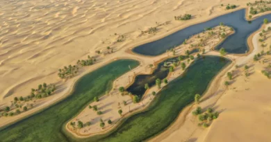 Egipto convierte el desierto en ciudad sostenible con corredor verde