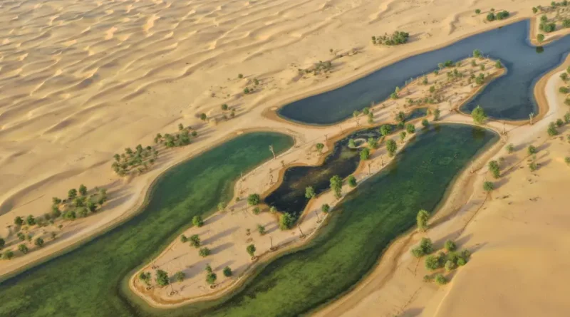Egipto convierte el desierto en ciudad sostenible con corredor verde