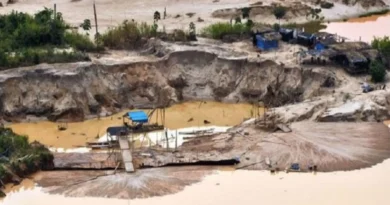 IIMP propone controles para frenar minería ilegal en Perú