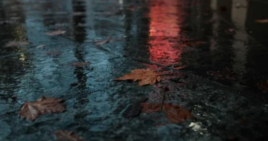 Lluvias y frío dan la bienvenida al otoño en Chile