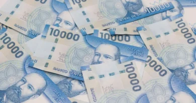 Nuevo Subsidio Unificado en Chile: $185.000 para vulnerables