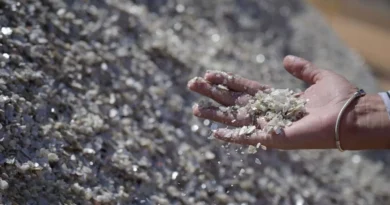 Pentágono solicita 13 minerales críticos a un día de ataque a Irán