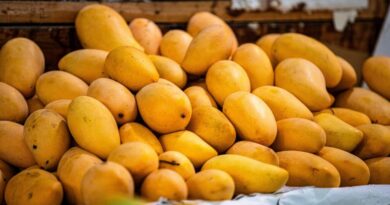 Primavera en el aire: llega el mango y frutas tropicales