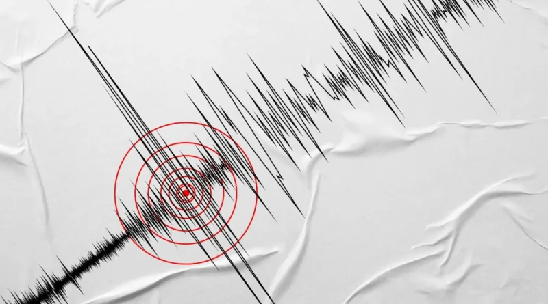 SHOA descarta tsunami en Chile tras fuerte sismo de 6,5