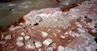 Salta se perfila como nuevo distrito cuprífero de clase mundial