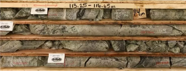 Tower's Hole 072 revela 40,05 g/t de oro en Thunder North