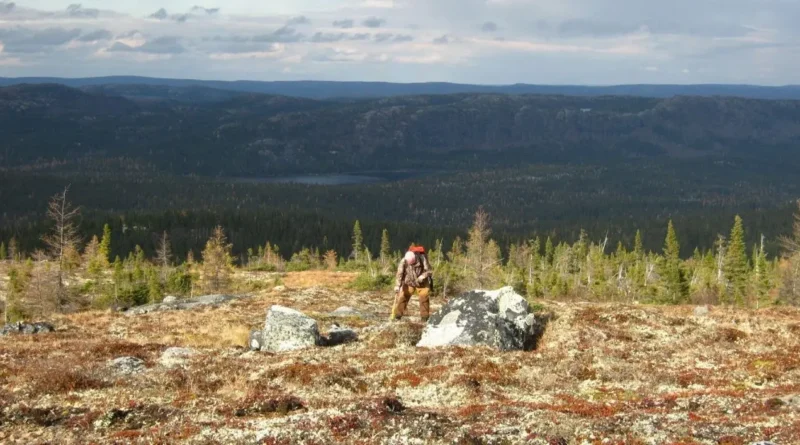 Altius Minerals compra 9,9% de TNR Gold por US$4,2 millones