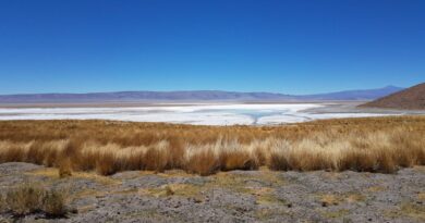 Argentina Lithium asegura USD 100 millones para su proyecto de litio