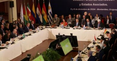 Avances en implicaciones del acuerdo Mercosur entre países