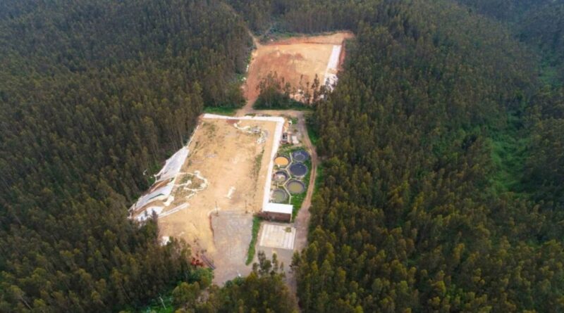 CAP renueva su directorio y avanza en tierras raras Huachipato