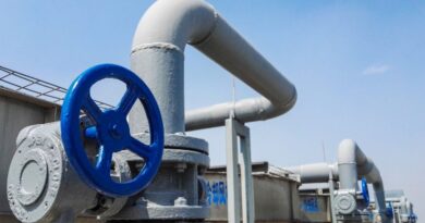 CNE licita estudio de costos del VAD de gas en Magallanes