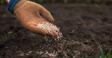 CTC transforma la agricultura con fertilizantes inteligentes nanotecnológicos