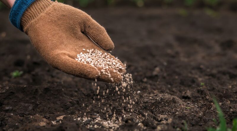 CTC transforma la agricultura con fertilizantes inteligentes nanotecnológicos