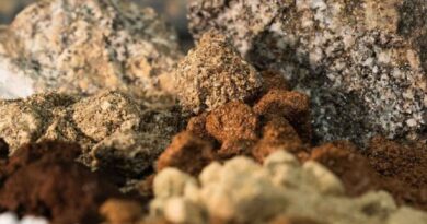 Chile lidera producción de tierras raras con proyecto Penco