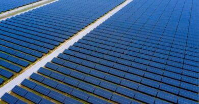 China interviene en mercado solar para estabilizar precios internacionales