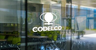 Codelco y Hindustan Copper negocian sociedad para yacimiento en Chile