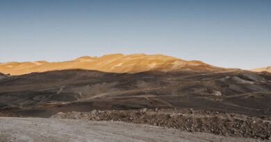 Crisis en Vicuña Corp: fallo judicial frena proyecto de cobre en Argentina