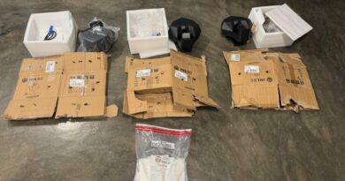 DNCD incauta 12 láminas de cocaína en Aeropuerto Las Américas