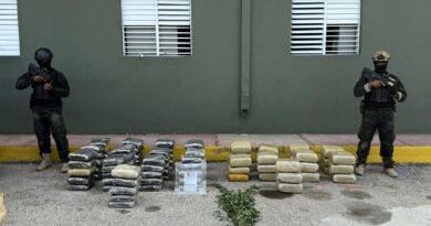 DNCD realiza allanamientos y ocupa más de 600 libras de marihuana