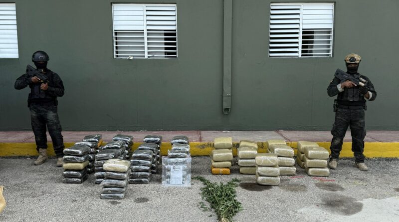 DNCD realiza allanamientos y ocupa más de 600 libras de marihuana