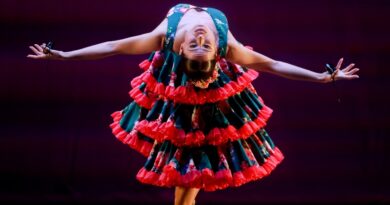 Danza Mundial deslumbra en el Teatro Nacional con su arte