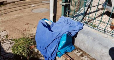 Destino incierto: el drama de un menor abandonado en RD