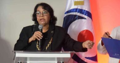 Emma Polanco justifica aumento salarial por carga laboral en Cámara