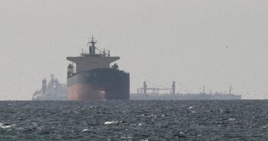 Estrecho de Ormuz: 900 buques parados y peaje de US$2 millones