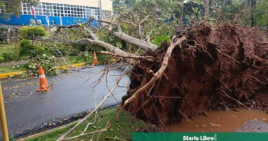 Fuertes lluvias y vientos causan caídas de árboles en Santo Domingo