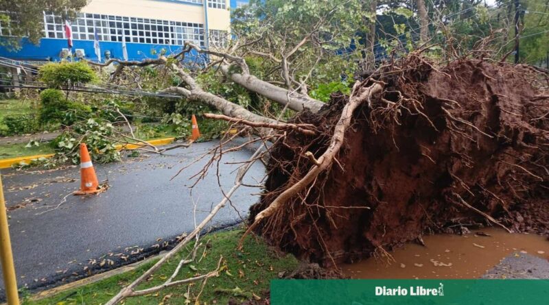 Fuertes lluvias y vientos causan caídas de árboles en Santo Domingo