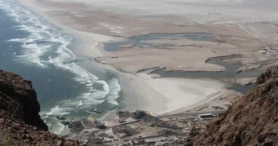 Halo encarga estudio de bioaccesibilidad en Playa Verde Chañaral
