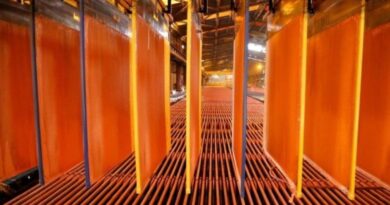 IPP de Industrias crece 2,1% en marzo por minería y petróleo