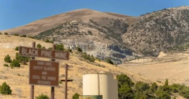 Liberty Gold inicia revisión ambiental del Proyecto Black Pine en EE.UU.