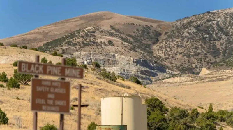 Liberty Gold inicia revisión ambiental del Proyecto Black Pine en EE.UU.