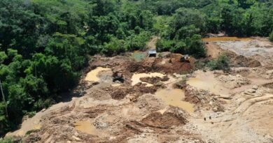 Minería ilegal en Perú pone en riesgo US$ 12 mil millones en inversiones