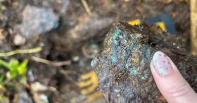 New Age Metals expande proyecto Platreef con Gravel Ridge en Ontario