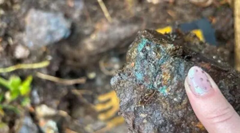 New Age Metals expande proyecto Platreef con Gravel Ridge en Ontario