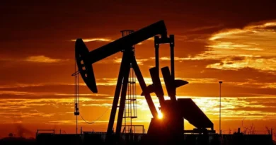 OPEP+ decide aumentar 206,000 barriles diarios desde mayo