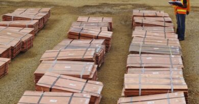 Productores de cobre y cobalto en Congo reducen químicos por crisis