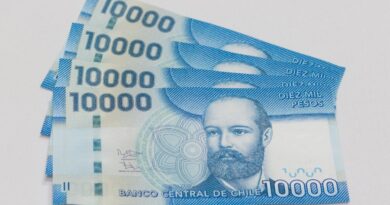 Revisa tu RUT y recibe hasta $468,156 por Bono de Protección