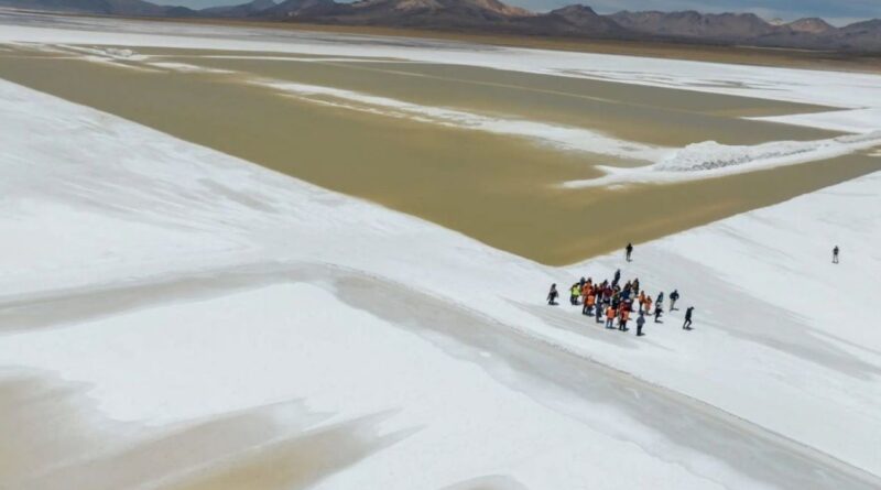 Tribunal evalúa suspensión de faenas en Salar de Surire para Quiborax
