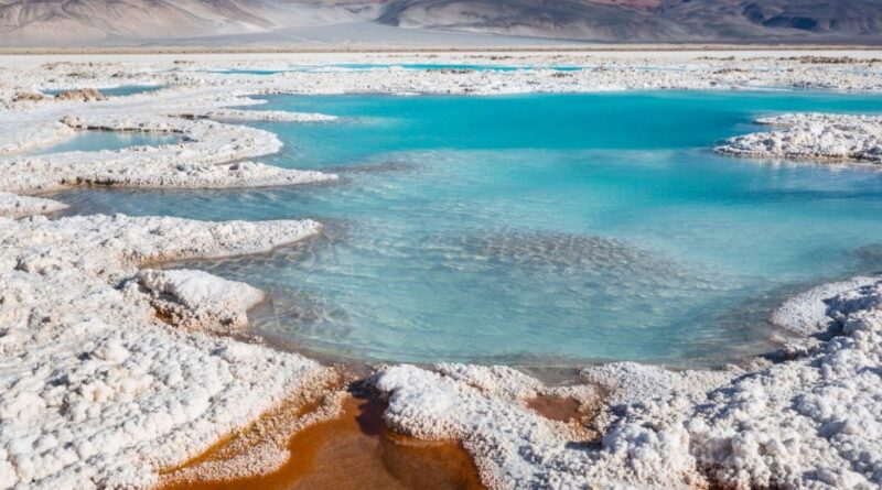 Universidad de Atacama impulsa proyecto pionero de litio