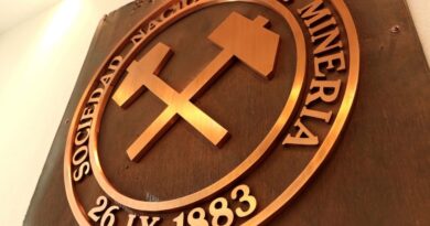 Sociedad Nacional de Minería exige regulaciones más estrictas