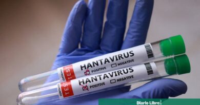 Casos de hantavirus alcanzan 11; OMS asegura riesgo bajo